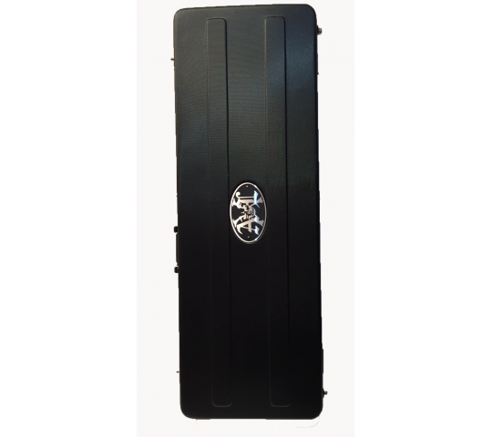 Elektro Gitar Case AXL